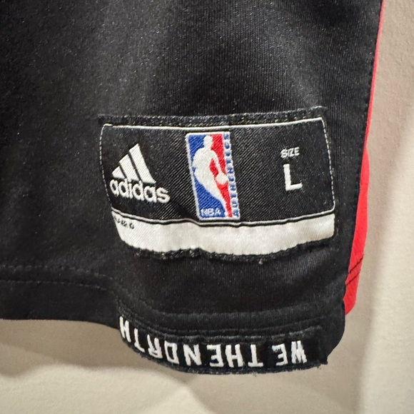 Kyle Lowry Toronto Raptors NBA Basketball Jersey - Picture 3 of 8